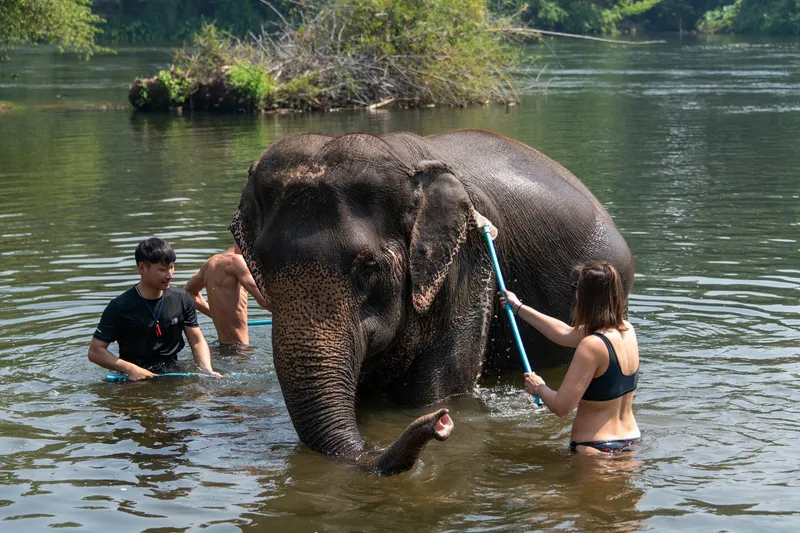 Travellers swimming in Erawan National Park's turquoise waterfall pools after visiting an elephant sanctuary on a Bangkok elephant tour from Bangkok, Thailand